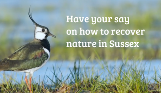 Have your say on the draft LNRS: farmers, landowners and land mangers webinar